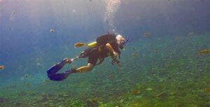 single scuba diver underwater with blue fins swimming with fish